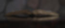aaron-burden-pCfJKUB5bes-unsplash_edited.jpg